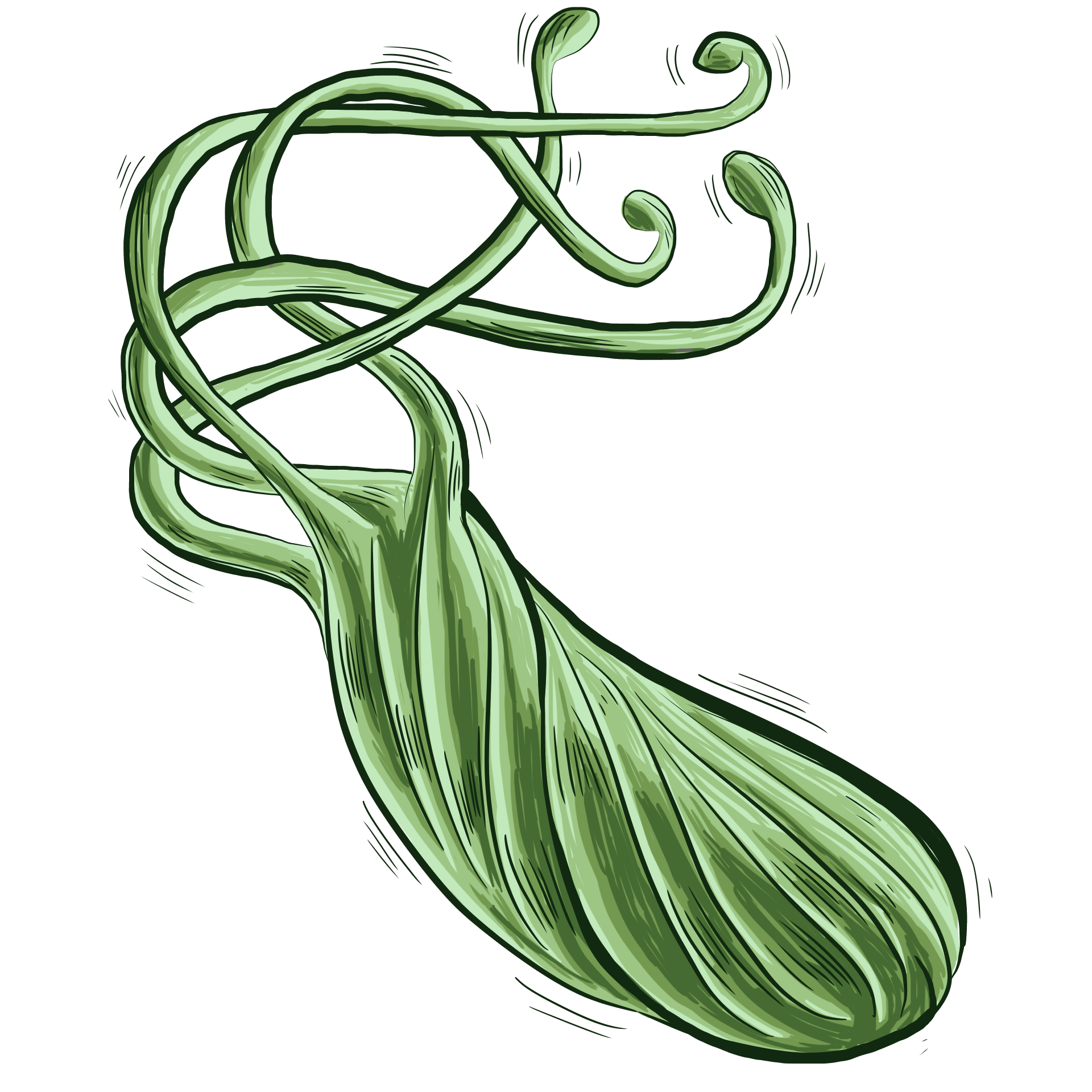 幽門(mén)螺桿菌
